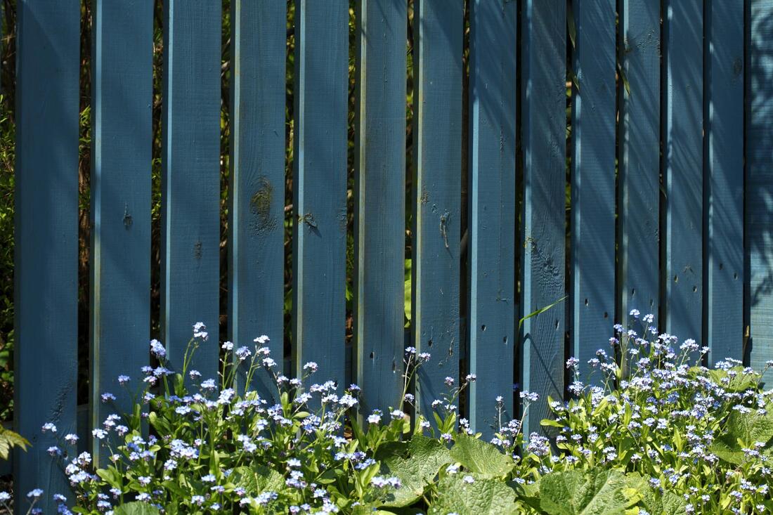a blue fence with some plants